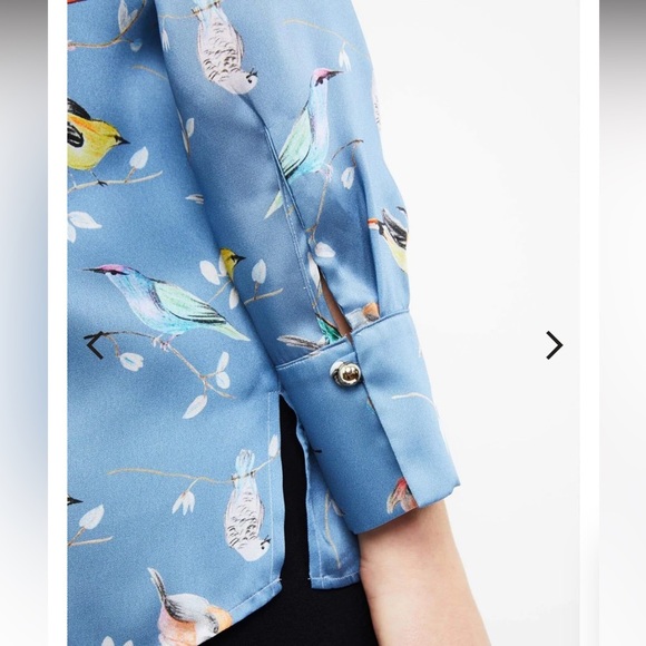 🚺 Pietro Brunelli blue singing bird tunic - Picture 3 of 11